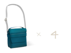 Accessories: Wishbone Bike Bag 4-Pack