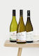 SPECIAL! - Chardonnay Collection Mixed Case