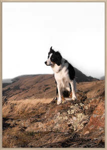 Wall Art: Ol' Mate Canvas