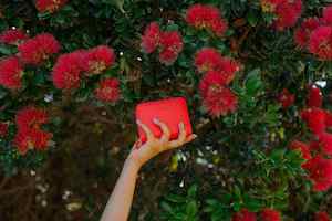 Moana Road: Mission Bay Wallet