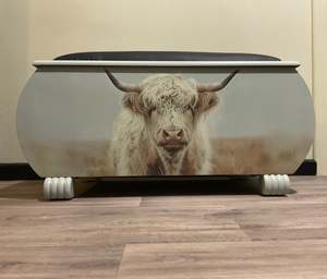 Retro Glory Box - Highland Cow