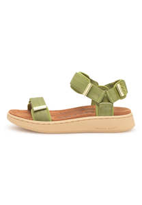 All: Line - Bambus Green