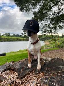 Now: Embroidered caps