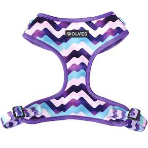 Harness: Sulley Mesh Harness 2.0