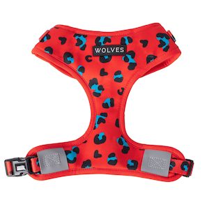 Harnesses: Cleo Mesh Harness