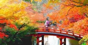 Japan Nov 2nd to Nov 20th 2026 Women's Adventure NZ