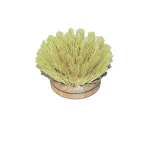 Eco: Tampico Brush Head