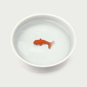 Furry Friends: Goldfish Pet Bowl