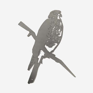 Garden: Karearea (NZ Falcon)