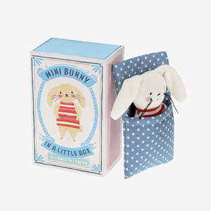 Mini Bunny In A Little Box