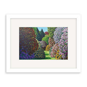 Framed Print | Forest Hill