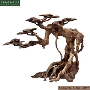 Resin Bonsai Tree - Floating Canopy