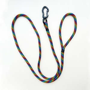 Limited: Black Rainbow Rope Leash