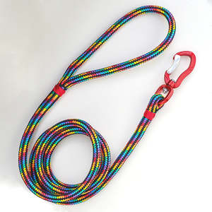 Limited: Black Rainbow Rope Leash - Red