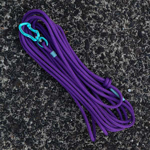Long Lines Long Dog Leashes: Teal & Purple Long Line - 5m