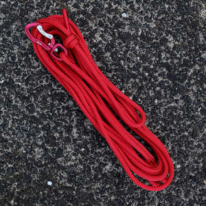 Long Lines Long Dog Leashes: Red Long Line - 5m