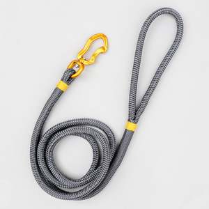 The Classic Collection: Metallic Rope Leash