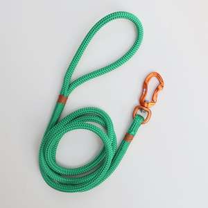 The Classic Collection: Gold & Green Rope Dog Leash