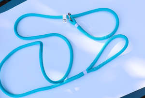 Slip Leads: Slip Leash