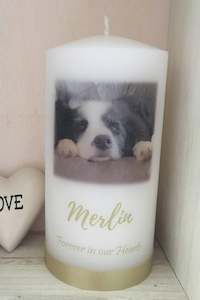 Pets: The Merlin - 15cm