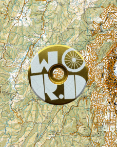 WORD Merchandise: WORD Gold Stem Cap - WORD