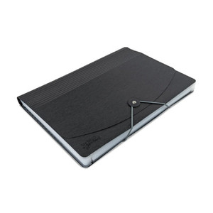Products: Rapesco Germ-Savvy Antibacterial Expanding File A4 13 Pocket Black WORK BUDDY