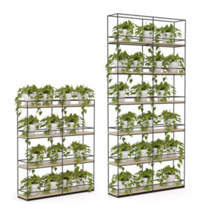 Office Zoning: Cubit Office Planter Wall