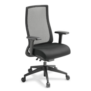 Joe Lite Mesh Task Chair