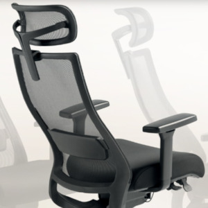Joe Ergonomic Mesh Task Chair