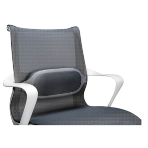 Home Essentials: Fellowes I-Spire Series Lumbar Cushion