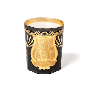 TRUDON CANDLE 800g Fir - Holiday 2024