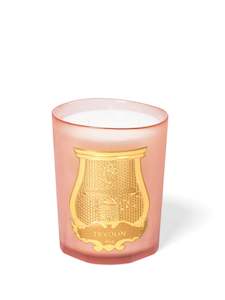 30 Off Mothers Day 2020 800g 3kg Candles: CIRE TRUDON CANDLE 800g TUILERIES