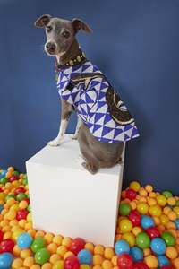 WORLD Loves Mr.Soft Top Dog Coat - Purple Geometric