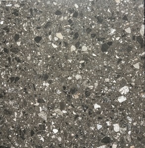 PGXL0498 – World Flooring