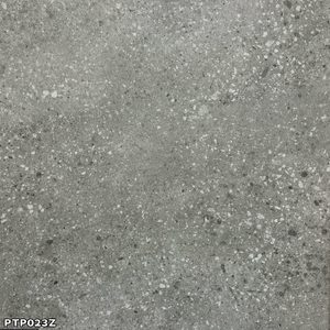 Polished Concrete (PTP023Z) – World Flooring