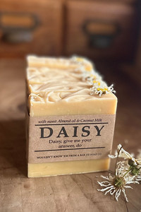 Daisy website