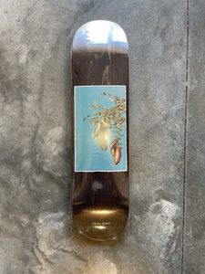 Products: Passport 8.0