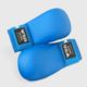 Sparring Gloves - Blue
