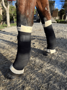 All: Equine Wool Wrap