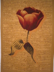 Wall Hangings / Table Covers / Throws: TULIPS Sandlewood