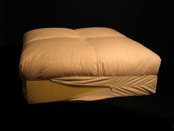 Feather wrapped Upholstery: Pillow top TouchDOWN