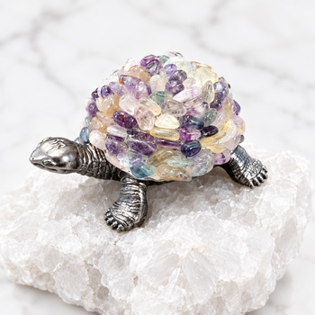 Fluorite Turtle