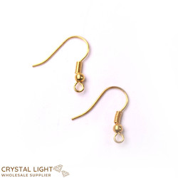 Ear rings: Gold Ear Hook