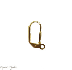 Ear rings: Gold Ear Clasp