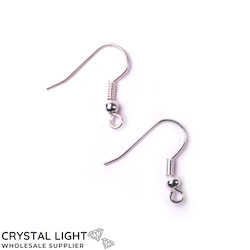 Ear rings: Bright Silver Ear Hook Pair