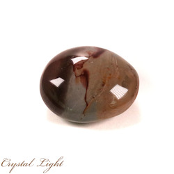 Polychrome Jasper Palmstone