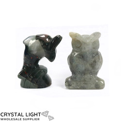Mixed Animal Lot