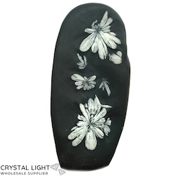 Chrysanthemum Freeform