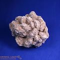 Desert Rose Large