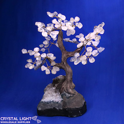 Medium Trees: Clear Quartz Druse Tree (Single)